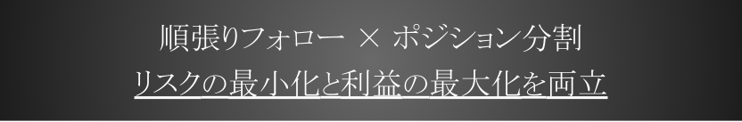 順張りフォロー　×　ポジション分割 リスクの最小化と利益の最大化を両立